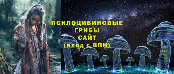 шишки Козловка