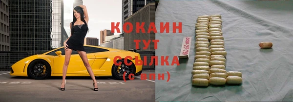 шишки Козловка
