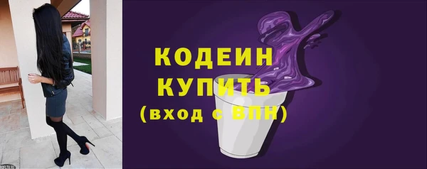 шишки Козловка