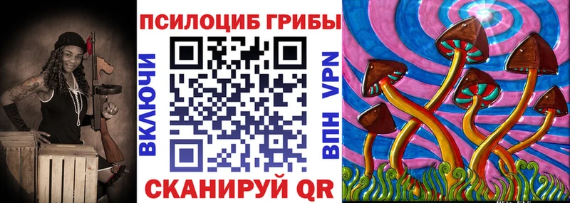 Купить Высоцк Псилоцибиновые грибы GOLDEN TEACHER
